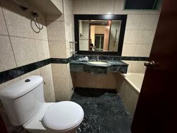 Hazel Park Condominium (D23), Condominium #519891011